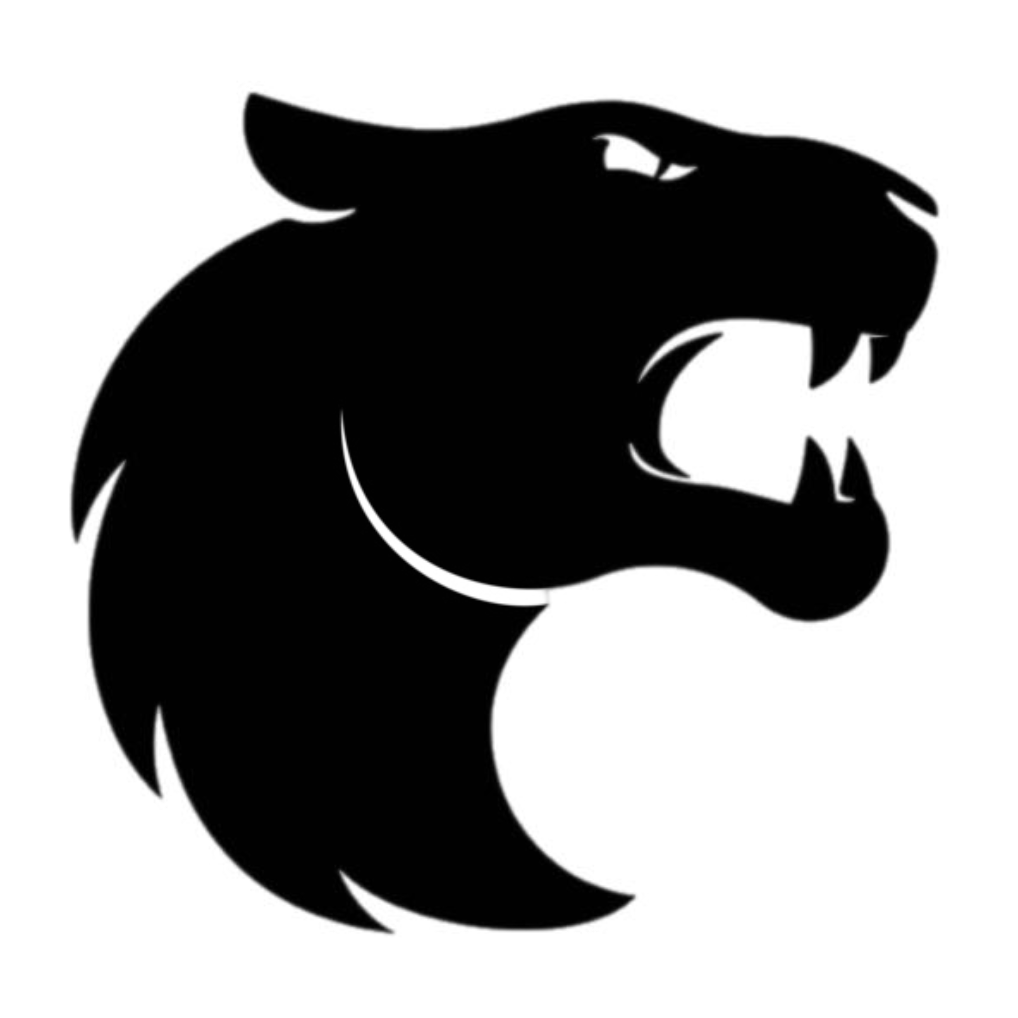 Furia logo